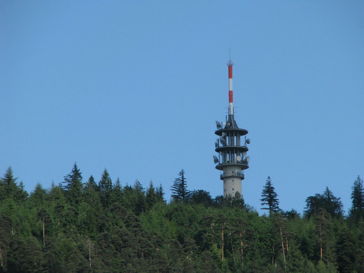 Blick auf den Fremersbergturm